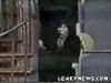 Thumb_dan-letterman 11